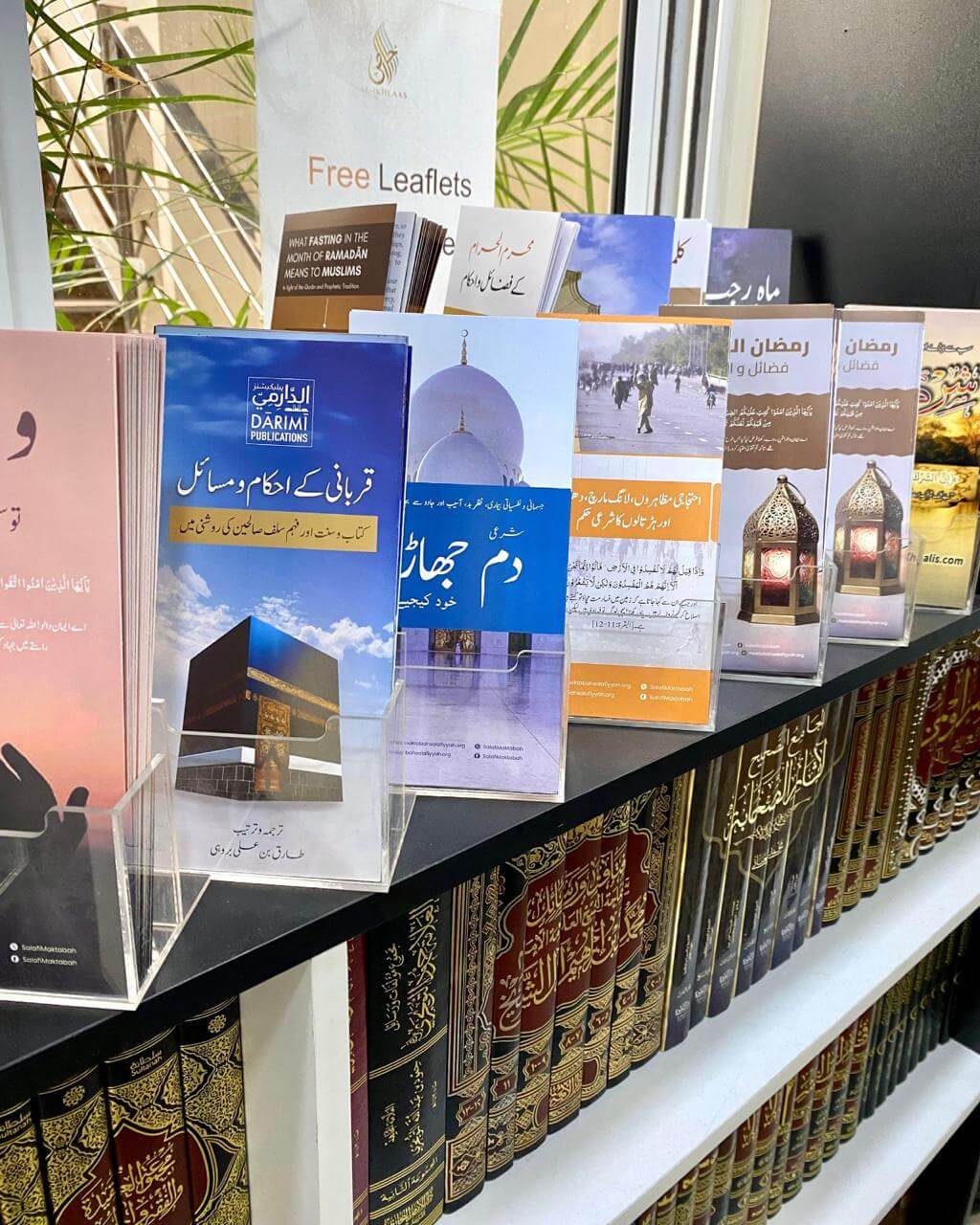 WhatsApp Image 2026-04-06 at 6.45.11 PM (1)